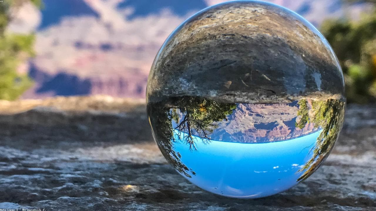 Global economy set to slow but stay resilient in 2026