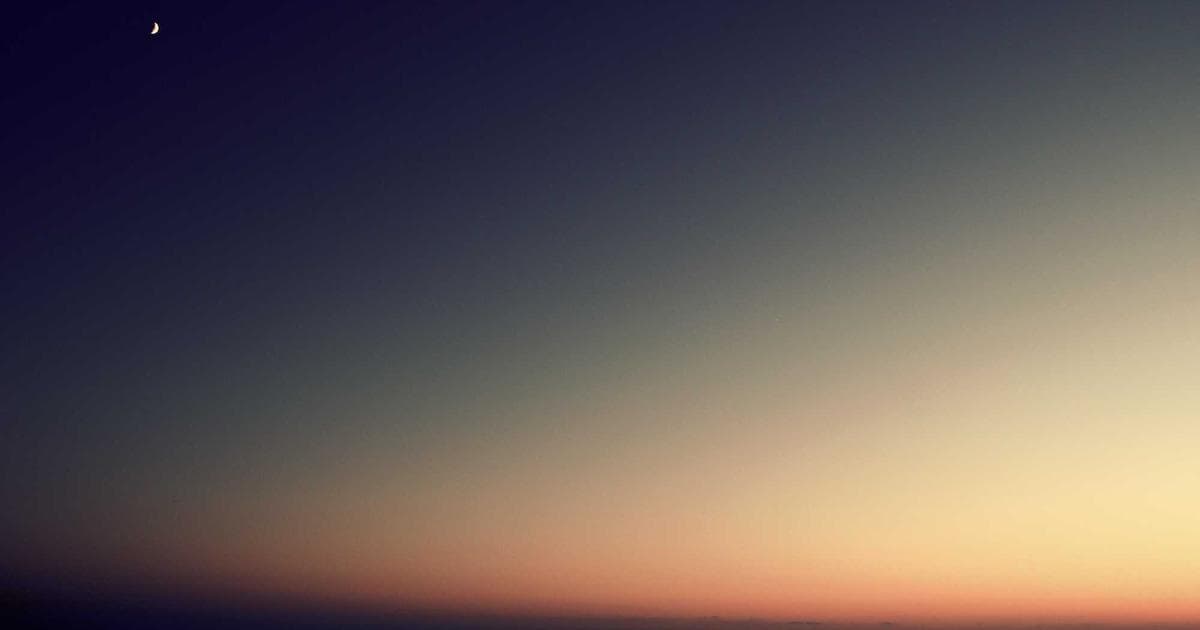 Scientists Find DNA 'Supergenes' That Speed Up Evolution